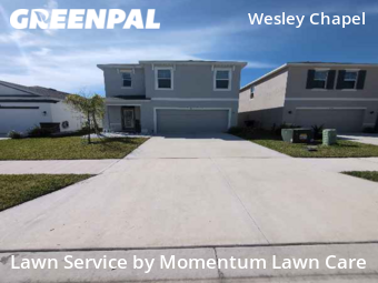 Lawn Cut nearby Wesley Chapel, FL, 