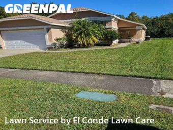 Yard Cuttingin Orlando,32824,Yard Cutting by El Conde Lawn Care, work completed in Nov , 2025