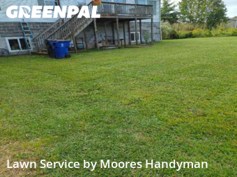 Yard Services in Dover, 19901, Yard Services by Moores Handyman, work completed in Nov , 2025