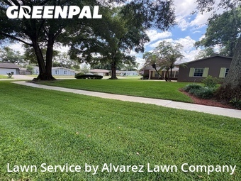 Lawn Mowing Servicein Altamonte Springs,32714,Lawn Cutting by Alvarez Lawn Company, work completed in Jun , 2026