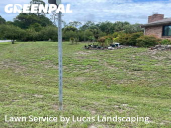 Grass Cut nearby Palm Bay, FL, 