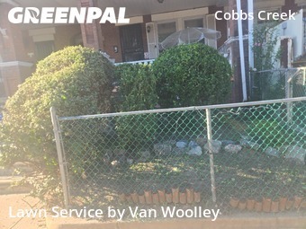 Grass Cutting nearby Philadelphia, NJ, 