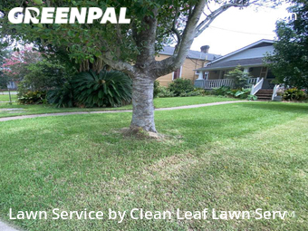 Lawn Cut nearby New Orleans, LA, 