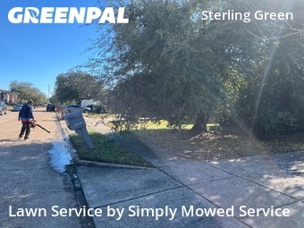 Lawn mowed in Channelview, 77530