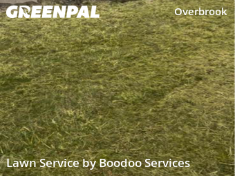 Yard Mowing nearby Pittsburgh, PA, 