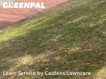Lawn mowed in Cooper City, 33328