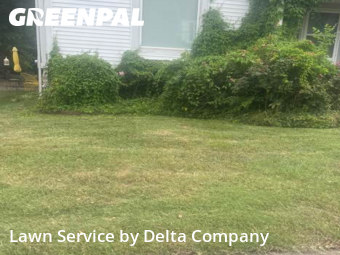 Yard Mowing nearby Bowling Green, KY, 