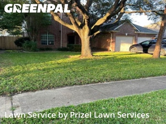 Lawn Maintenancein Pearland,77584,Lawn Mowing by Prizel Lawn Services, work completed in Nov , 2025