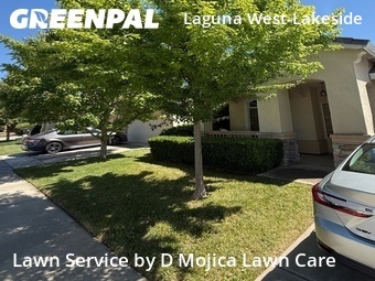 Lawn Mow nearby Elk Grove, CA, 