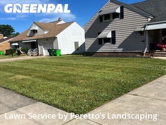 Grass Cutting nearby Garfield Heights, OH, 