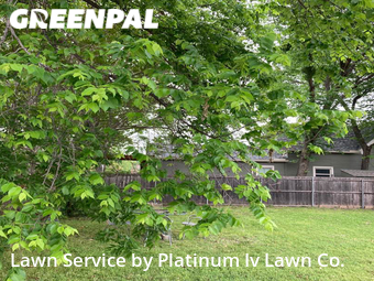 Lawn Care Service nearby Plano, TX, 
