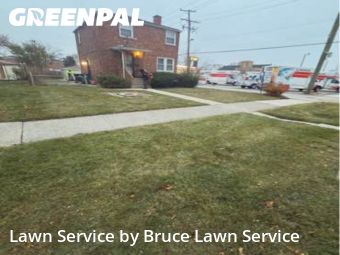Lawn Mowing nearby Broadview, IL, 