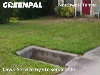 Yard Mowing nearby Tampa, FL, 
