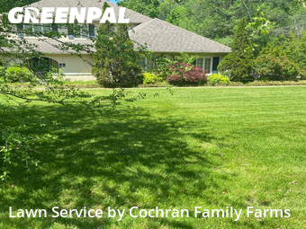 Lawn Cut nearby Powell, TN, 