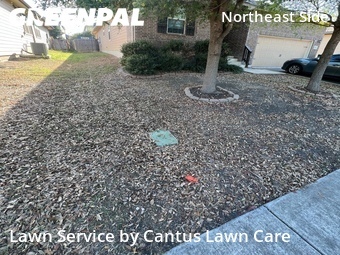 Lawn Maintenance nearby Converse, TX, 