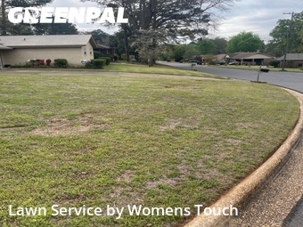 Grass Cut nearby Northport, AL, 