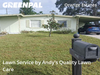 Lawn Mowingin St Petersburg,33708,Lawn Maintenance by Andy's Quality Lawn Care, work completed in Dec , 2025