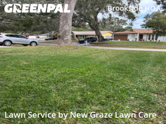 Lawn Care Servicein Clearwater,33764,Lawn Care Service by New Graze Lawn Care , work completed in Dec , 2025