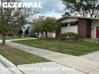 Yard Maintenance in Lincoln Park, 48146, Yard Maintenance by Beyond Green, work completed in Dec , 2025