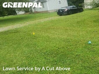 Grass Cut nearby Smyrna, TN, 