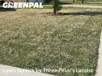 Yard Cutting nearby Plano, TX, 