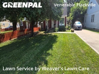 Lawn Cut nearby Indianapolis, IN, 