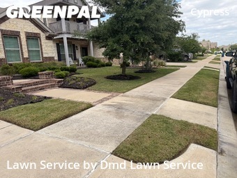 Lawn Care Servicein Cypress,77433,Lawn Cutting by Dmd Lawn Service, work completed in Jun , 2026