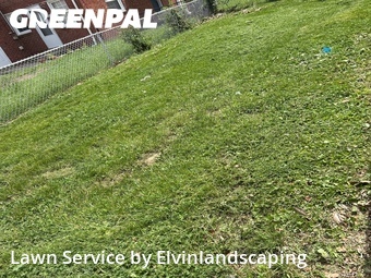 Yard Cutting nearby Dundalk, MD, 