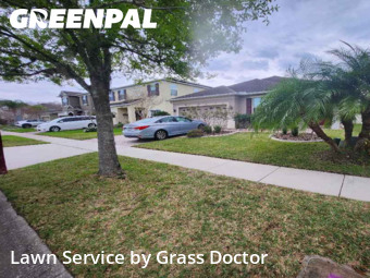 Lawn Cut nearby Orlando, FL, 