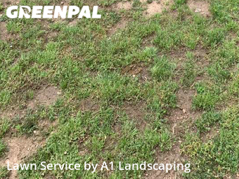 Yard Mowing nearby Fayetteville, AR, 