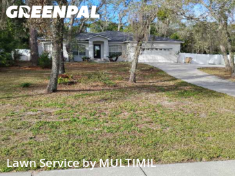 Lawn mowed in Temple Terrace, 33617