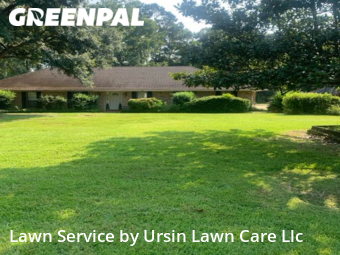 Grass Cut nearby Central, LA, 