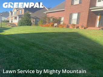 Grass Cutting nearby Knoxville, TN, 