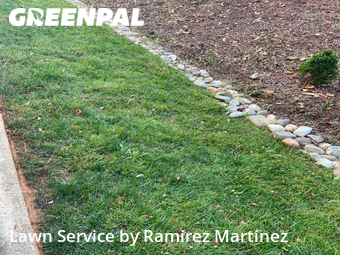 Yard Cutting nearby Chapel Hill, NC, 