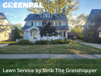 Landscaping Maintenance in Euclid, 44123, Grass Services by Strib The Grasshopper, work completed in Nov , 2025