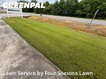 Grass Cut nearby Gonzales, LA, 