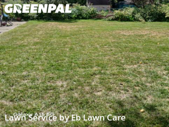 Lawn Cutting in Mount Prospect, 60056, Turf Services by Eb Lawn Care , work completed in Nov , 2025