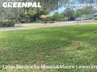 Grass Cutting nearby St. Petersburg, FL, 