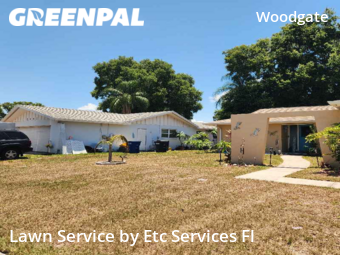 Lawn Mow nearby Clearwater, FL, 