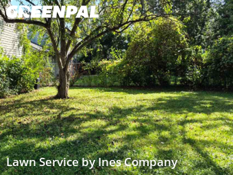 Lawn Cut nearby Matteson, IL, 