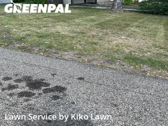 Lawn Mow nearby Apple Valley, MN, 