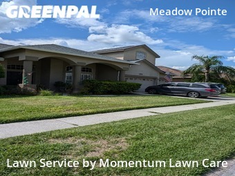 Yard Mowing nearby Wesley Chapel, FL, 