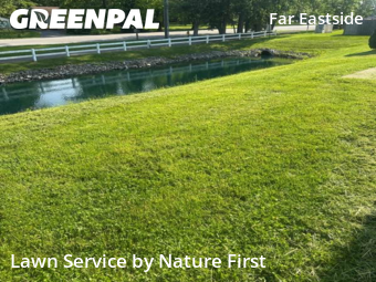 Lawn Cut nearby Indianapolis, IN, 