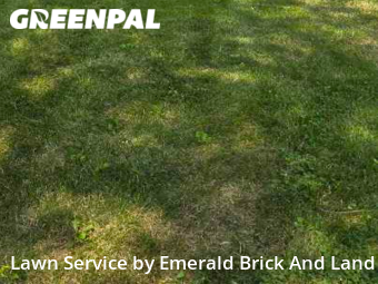 Yard Cutting nearby North Aurora, IL, 
