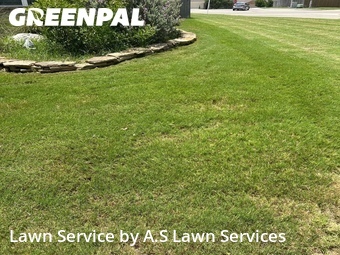 Lawn Cut nearby New Braunfels, TX, 