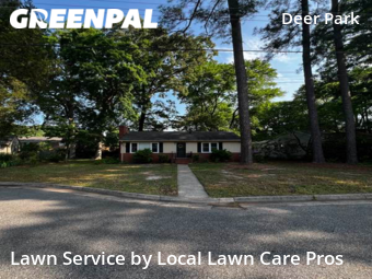 Lawn Cut nearby Newport News, VA, 