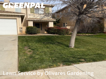 Landscaping In Palmdale,93551,Landscaping Renovation by Olivares Gardening , work completed in Feb , 2026