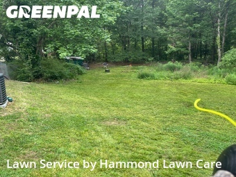 Yard Mowing nearby Hiram, GA, 