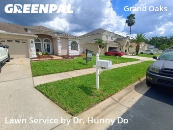 Lawn Cut nearby Land O' Lakes, FL, 