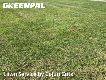 Yard Cutting nearby Murfreesboro, TN, 